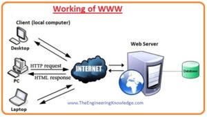 Web Browser, www, Hypertext Markup Language (HTML), Working of WWW, Full Form of WWW, Different between Internet and WWW, 