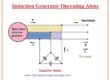 induction generator working alone