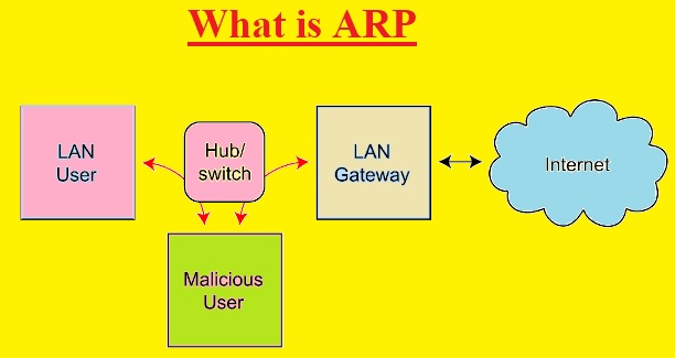What is ARP