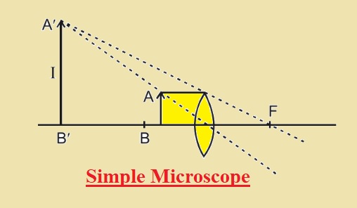 simple microscope