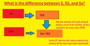 What is the difference between $, $$, and $x