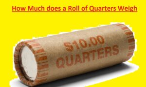 How Much Does a Roll of Quarters Weigh - The Engineering Knowledge