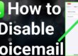 How to Turn Off Voicemail on iPhone