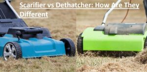 Scarifier vs Dethatcher How Are They Different