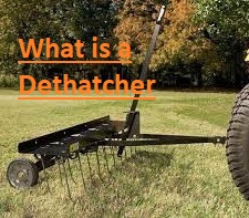 What is a Dethatcher