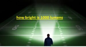 how bright is 1000 lumens