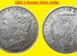 1893 S Morgan Silver Dollar