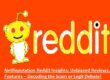 NetReputation Reddit Insights