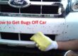How to Get Bugs Off Car