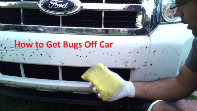 How to Get Bugs Off Car