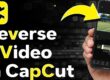 How to Reverse a Video on Iphone with Capcut