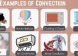 Common Examples of Convection