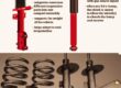 Struts vs. Shocks