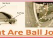 What Are Ball Joints