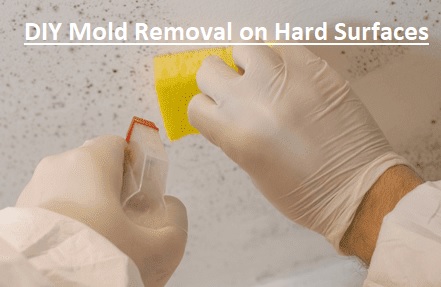 DIY Mold Removal on Hard Surfaces