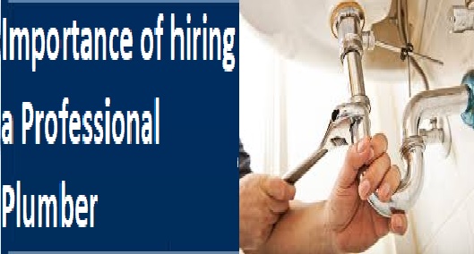 Importance of hiring a Professional Plumber