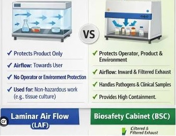 Laminar Flow Clean Bench vs. Biosafety Cabinet